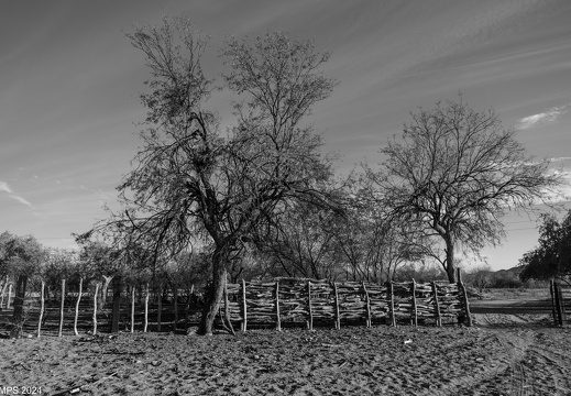 2024 Hermosillo DSCF9765 dom-2