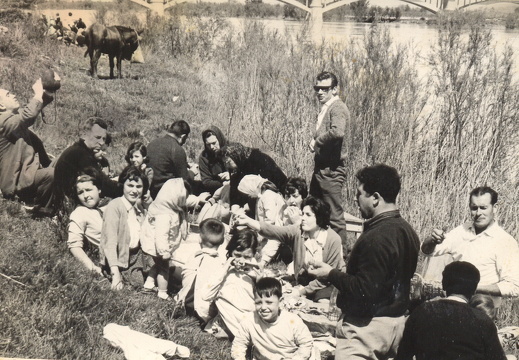 R-D 025 Matamala 60s b