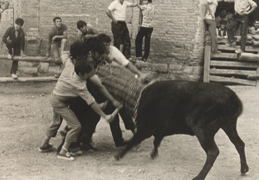 J-E 004 Vaquillas Plaza Vieja 60s