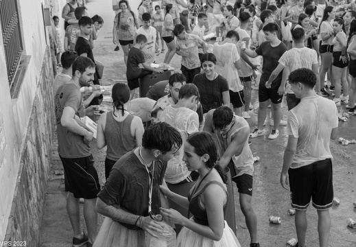 Quinto 2023-6737 (274)